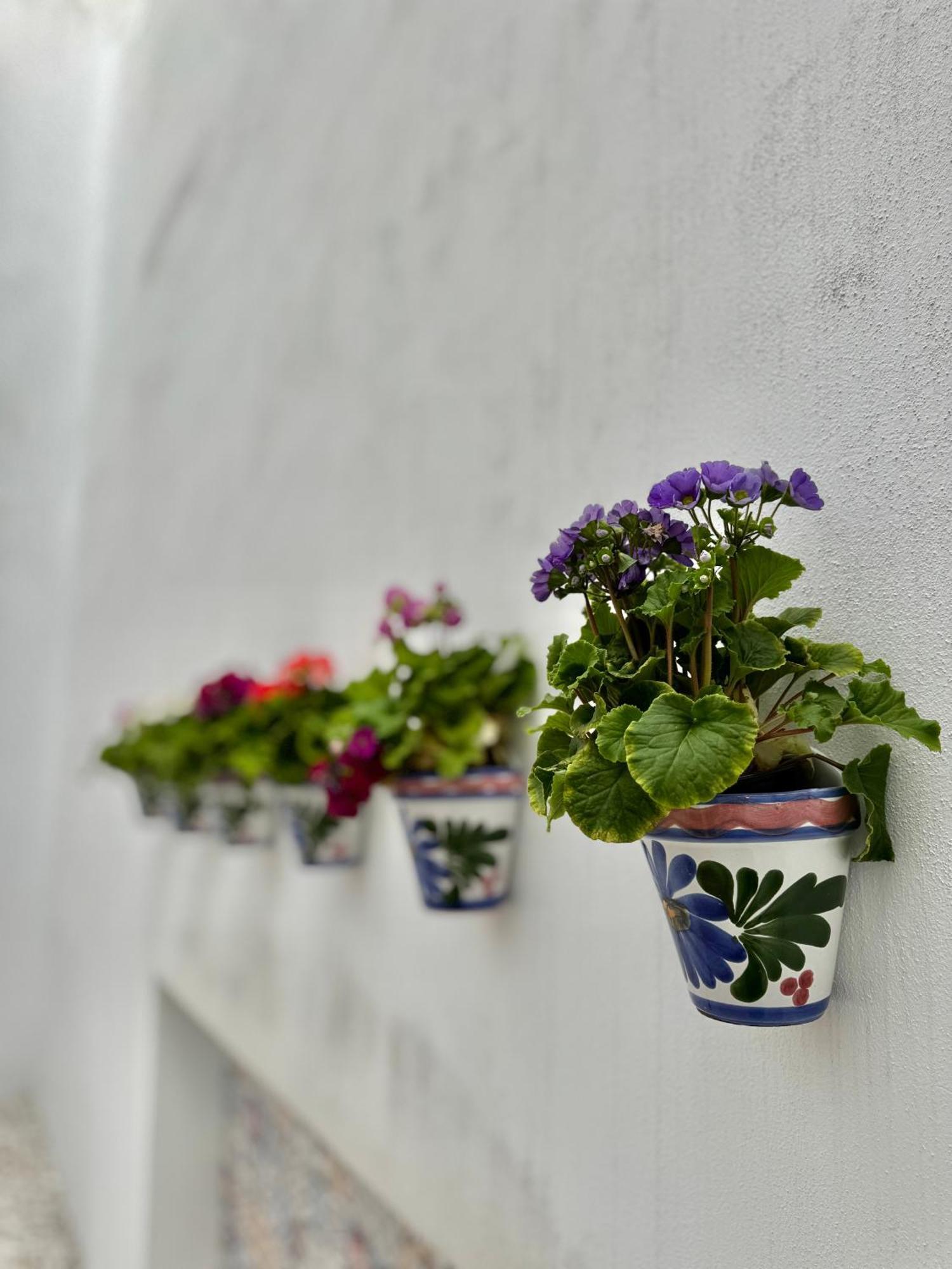 Aparthome Sanroman Sevilla